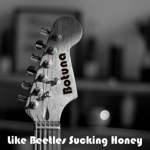 Like Beetles Sucking Honey