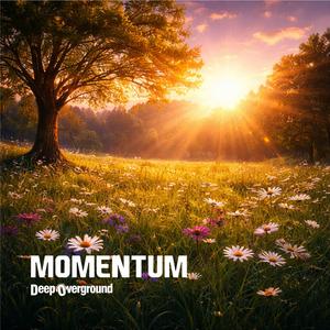 Momentum