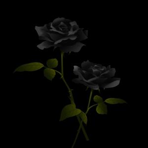 FUNERAL (feat. Arvex Don)