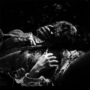 The Moss (Album Version)