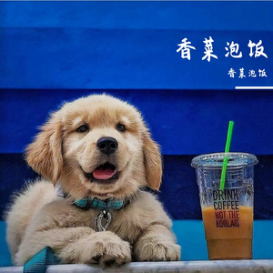 用情（羊羊版）