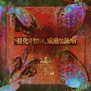 Le ciel～空に還る夢境～