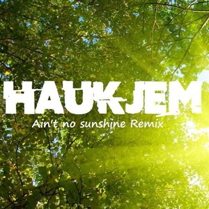 Aint No Sunshine (Haukjem remix)