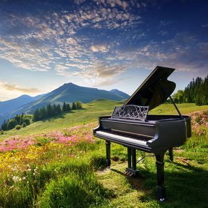 Flexibility In The Sound Waves