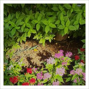 Can’t Go For That (interlude)