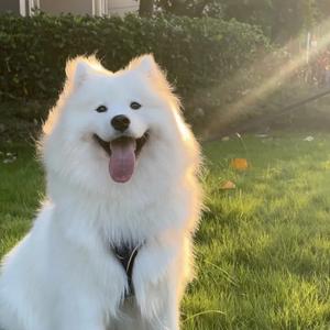 我的小世界只有你