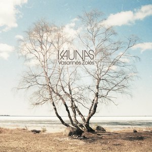 Vasarinės Žolės