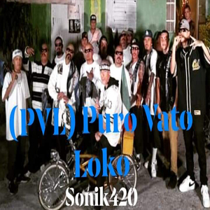 (Pvl) Puro Vato Loko