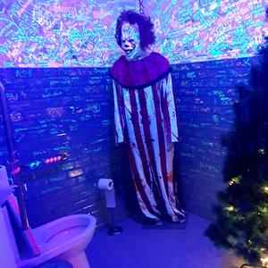 Wire (the programmer is also a programm)