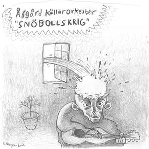 Snöbollskrig