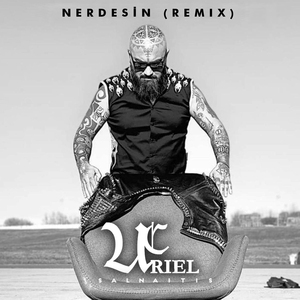 Nerdesin (Remix)