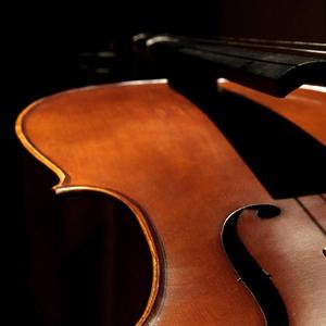 Liar's Waltz(谎言之舞）