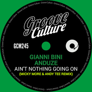 Ain't Nothing Going On (Micky More & Andy Tee Extended)