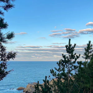 不浪漫罪名（Cover 王杰）