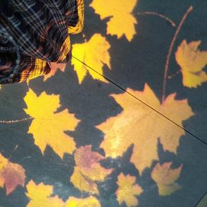 未闻花名（翻自 张苡小萌）