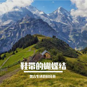 鞋带的蝴蝶结