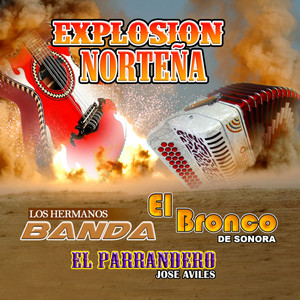 Engañosa Y Cobarde