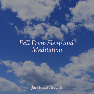 Sanctuary's Solitude Serenity