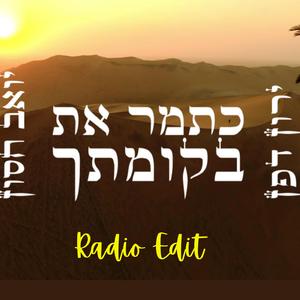 כתמר את בקומתך (Radio Edit)