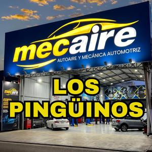 Los Pingüinos