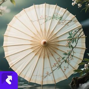 梦中的纸伞 (现场)