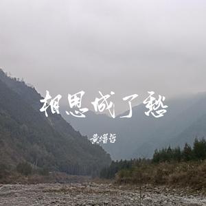 相思成了愁