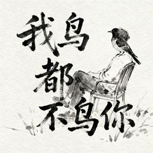我鸟都不鸟你 (风无念 Remix)