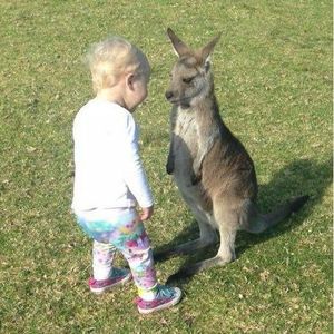 Free "Young Fresh" 夏之禹 + Boombap Type Beat