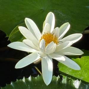 Don't Live Here Anymore