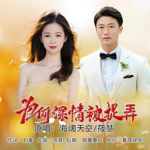 为何深情被捉弄(对唱版)