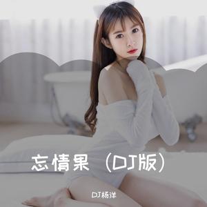 忘情果（DJ版）