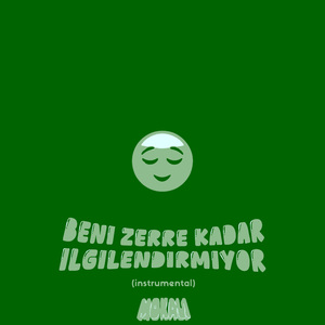 Beni Zerre Kadar İlgilendirmiyor (instrumental)