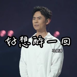 好想醉一回2026（翻自 张艺迈）