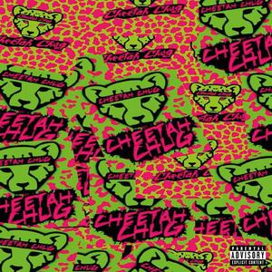GUEPARDEX (feat. aale uuuu & $iri)