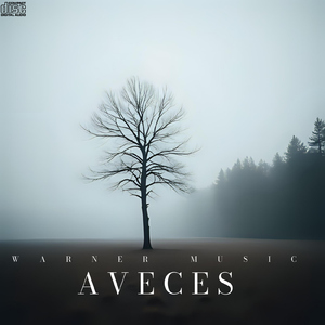 a veces