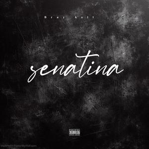 Senatina