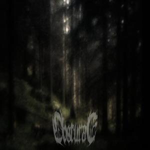 Visions Within the Nocturne