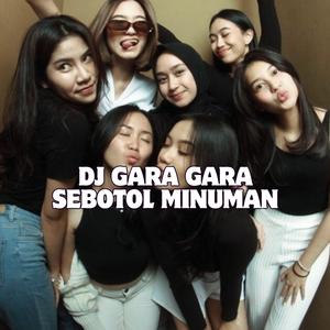 DJ GARA GARA SEBOTOL MINUMAN DIA JALAN SEMPOYONGAN VIRAL