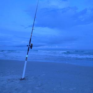 Reelin' In Moments