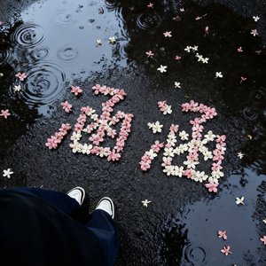 分离焦虑症