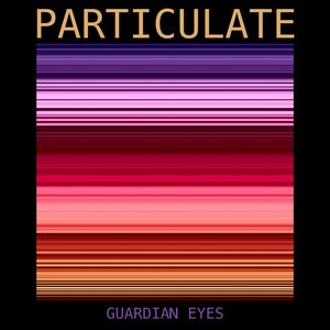 Particulate