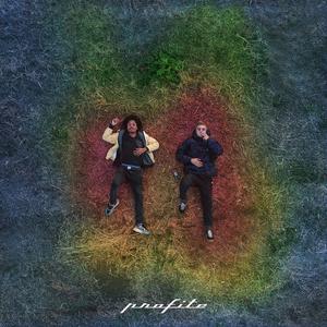 Profite (feat. N3CO)