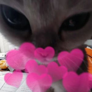 回忆是在夏天的傍晚