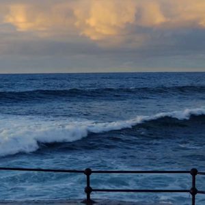 如果你忘了(如果你忘了 记忆都灰了)