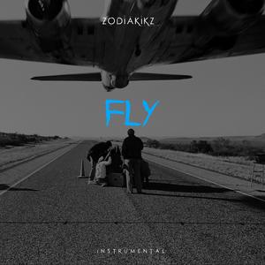 Fly