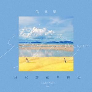 我只想在你身边