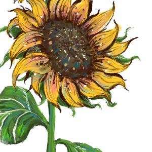 关于“她”的回忆 (Prod EVOMUSIC)