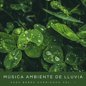 Bebé Durmiendo En La Cuna