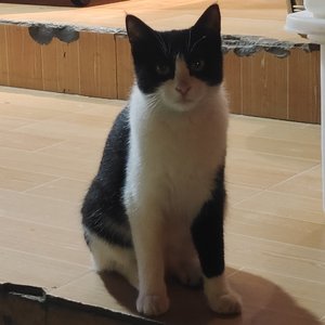 你是我最愚蠢的一次浪漫