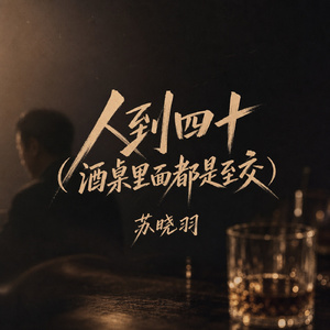 人到四十(酒桌里面都是至交)